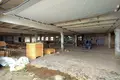 Manufacture 1 859 m² in Viesialouski sielski Saviet, Belarus