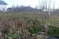Land  Gatchinsky District, Russia