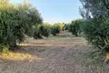 Земельные участки 1 комната  Захаро, Греция