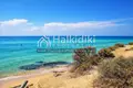 Parcelas 12 500 m² Nea Potidea, Grecia