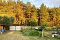 Nieruchomości komercyjne 100 m² Muchawiec, Białoruś