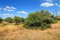 Parcelas 15 000 m² Kassandrino, Grecia