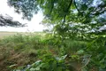Działki 480 000 m² Orkeny, Węgry