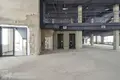 Büro 10 zimmer 100 m² in Zdanovicki sielski Saviet, Belarus