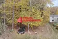 Дом 3 комнаты 30 м² Коптёвский сельский Совет, Беларусь