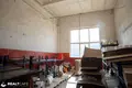 Produktion 5 zimmer 34 m² in Lida, Belarus
