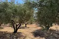 Parcelas  Region of Crete, Grecia