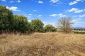 Land 4 000 m² Nea Triglia, Greece