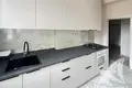 Appartement 2 chambres 53 m² Jabinka, Bélarus