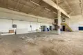 Коммерческое помещение 828 м² Витебск, Беларусь