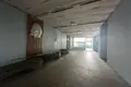 Produktion 3 000 m² in Minsk, Belarus