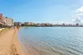 Квартира 3 комнаты 171 м² Торревьеха, Испания