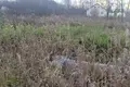 Land  Gatchinsky District, Russia