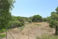 Land  Artola, Spain