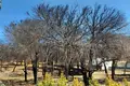 Atterrir 6 851 m² Loule, Portugal