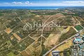Land 12 300 m² Municipality of Sithonia, Greece