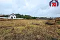 Grundstück  Svabski sielski Saviet, Belarus