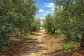 Land 22 000 m² Nea Triglia, Greece
