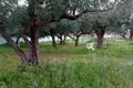 4 bedroom Villa  San Marco, Italy
