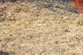 Земельные участки  Михановичский сельский Совет, Беларусь
