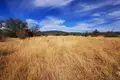 Działki 1 001 m² Saguramo, Gruzja