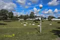 Коммерческое помещение 2 547 м² Несвиж, Беларусь