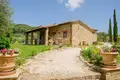 Propiedad comercial 782 m² en Seggiano, Italia