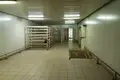 Nieruchomości komercyjne 3 000 m² Avanhard, Ukraina