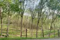 Земельные участки  Чонг Тале, Таиланд