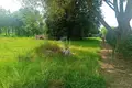   Добринёвский сельский Совет, Беларусь