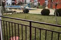 1 bedroom apartment 65 m² Sveti Vlas, Bulgaria