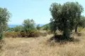 Земельные участки 1 комната 5 568 м² Aristotle Municipality, Греция