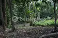 Parcelas  Tumbak Bayuh, Indonesia