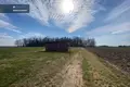 Grundstück  Rutkiskes, Litauen