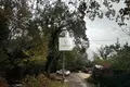 Grundstück 2 800 m² Donji Orahovac, Montenegro