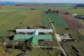 Nieruchomości komercyjne 3 340 m² Skujgie, Litwa