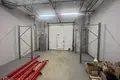 Nieruchomości komercyjne 5 pokojów 650 m² w Ryga, Łotwa