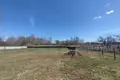 Atterrir  Puchavicki sielski Saviet, Bélarus