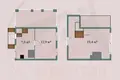House 41 m² Zodzinski sielski Saviet, Belarus