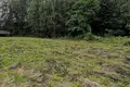 Parcelas  Jnkauski sielski Saviet, Belarús