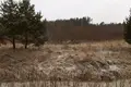 Atterrir 56 000 m² Riga, Lettonie