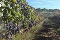 Nieruchomości inwestycyjne  Grad Vis, Chorwacja