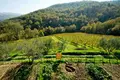 Investition 1 067 m² Greve in Chianti, Italien