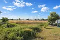 Atterrir 16 000 m² Sozopoli, Grèce