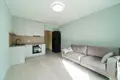 Квартира 1 комната 25 м² Копище, Беларусь