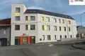 Apartamento 3 habitaciones 56 m² Melnik, Chequia