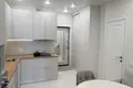 Wohnung 1 zimmer 31 m² Minsk, Belarus