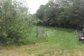 2 room house 54 m² Bolsevrudskoe selskoe poselenie, Russia