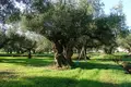 Działki 1 pokój  Zakynthos Municipality, Grecja