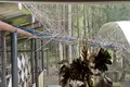 Maison 75 m² Hozski sielski Saviet, Bélarus
